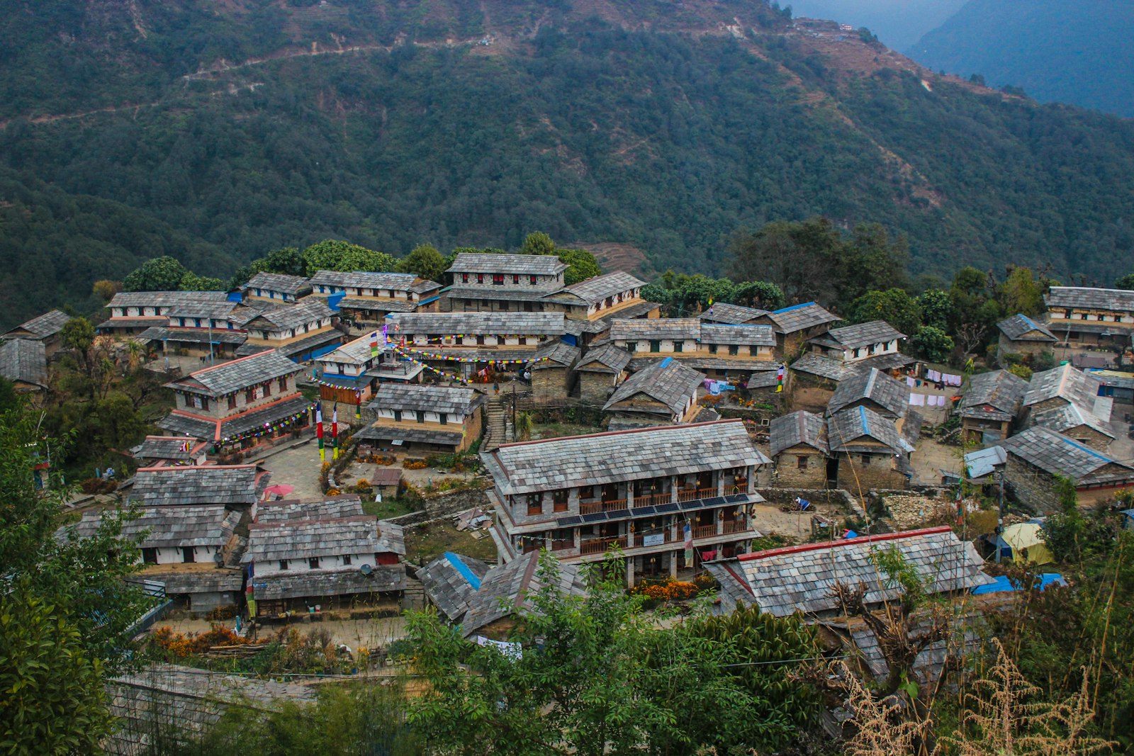 Aerial view of the slate-roofed stone houses of Ghandruk village